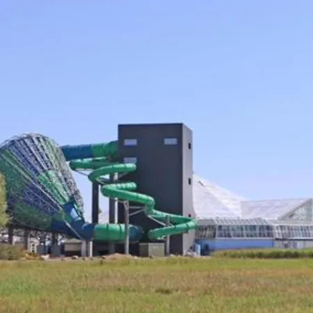 Flc 11